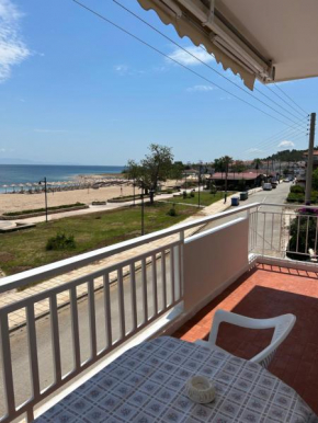 Manolis House
